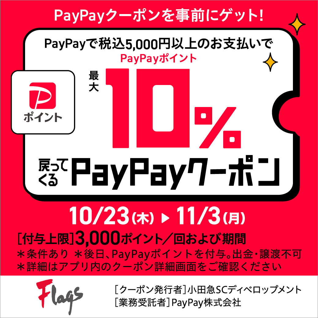 イメージ：PayPayクーポンキャンペーン 10/23~11.3