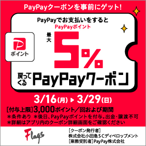 PayPayのご利用でPayPayポイントが最大5%戻ってくるキャンペーン