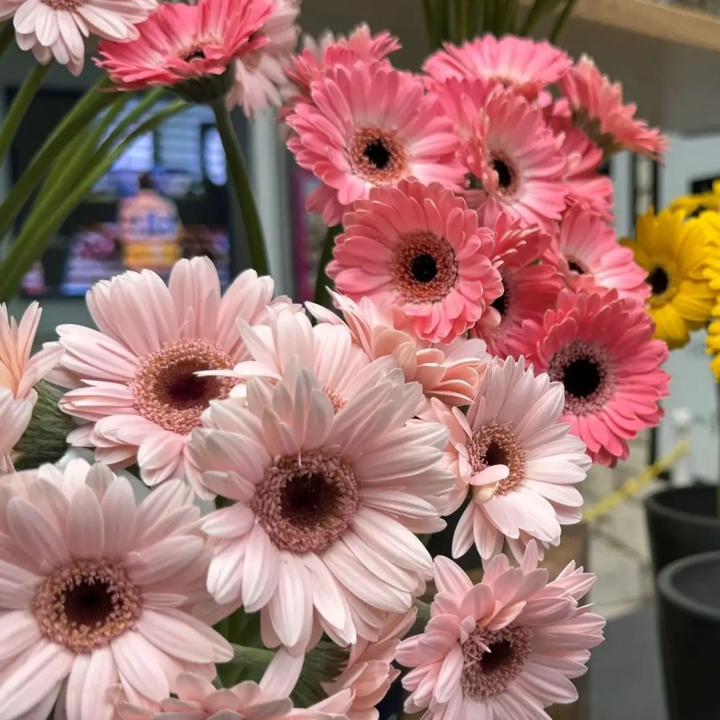 日比谷花壇 POP UP SHOP in Flags