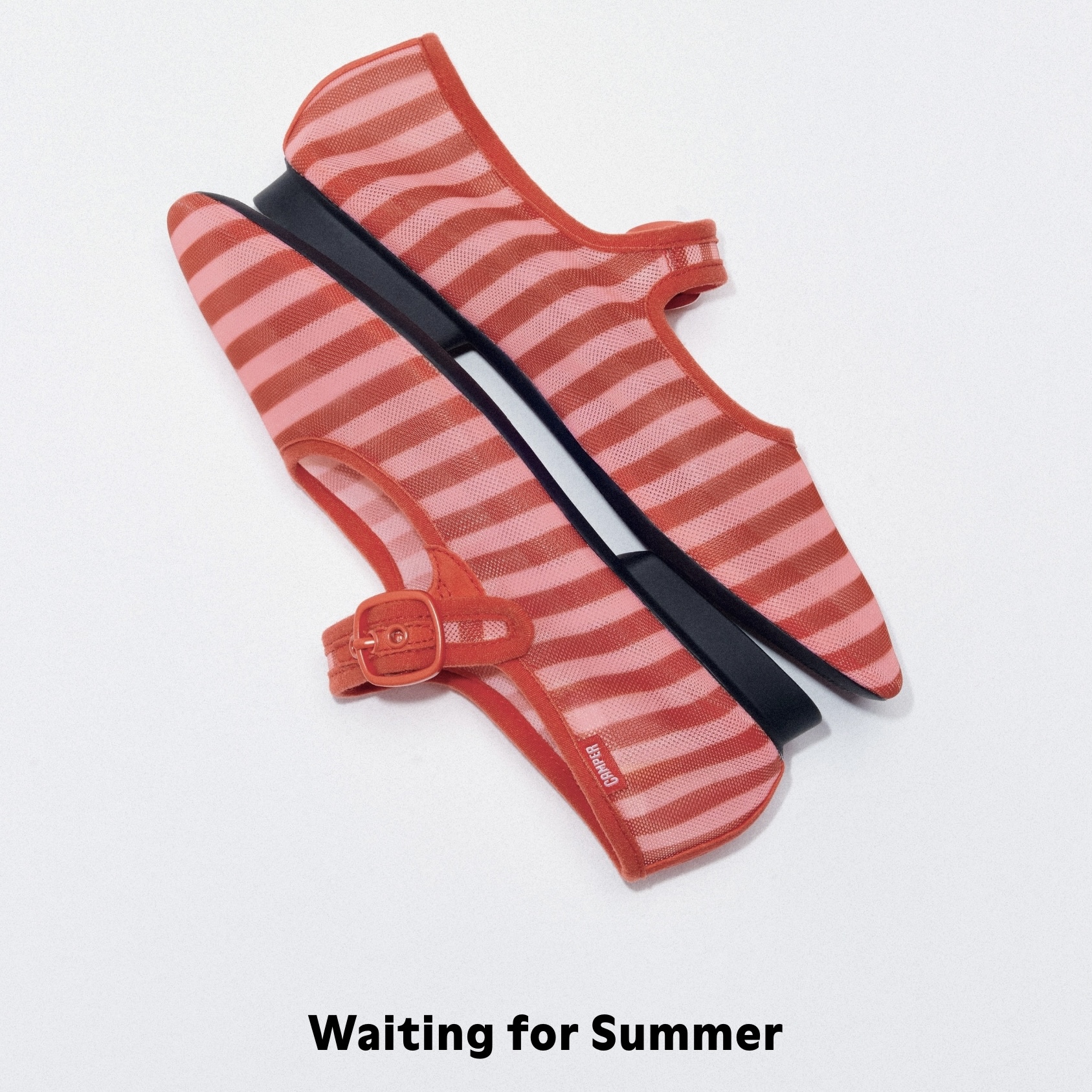 イメージ：Waiting for Summer