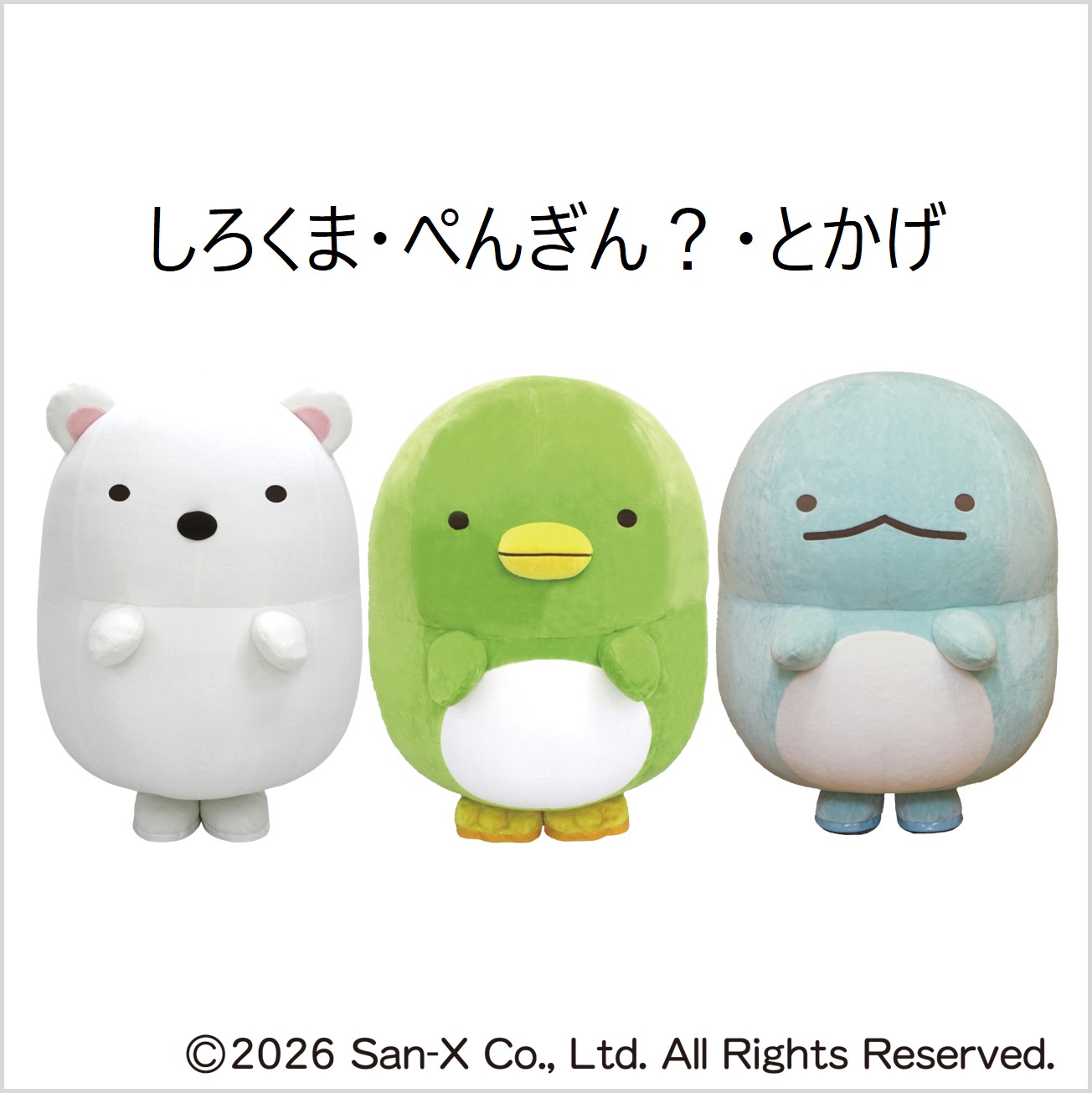 イメージ：すみっコがやってくる！撮影会