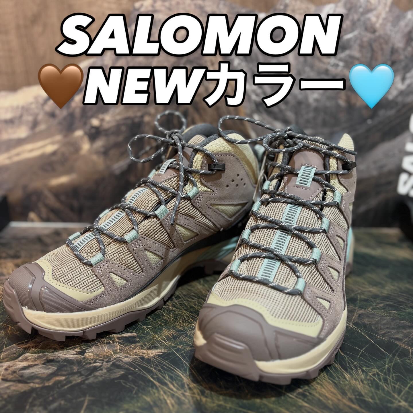 イメージ：【新商品入荷】サロモンのシューズに新色登場！