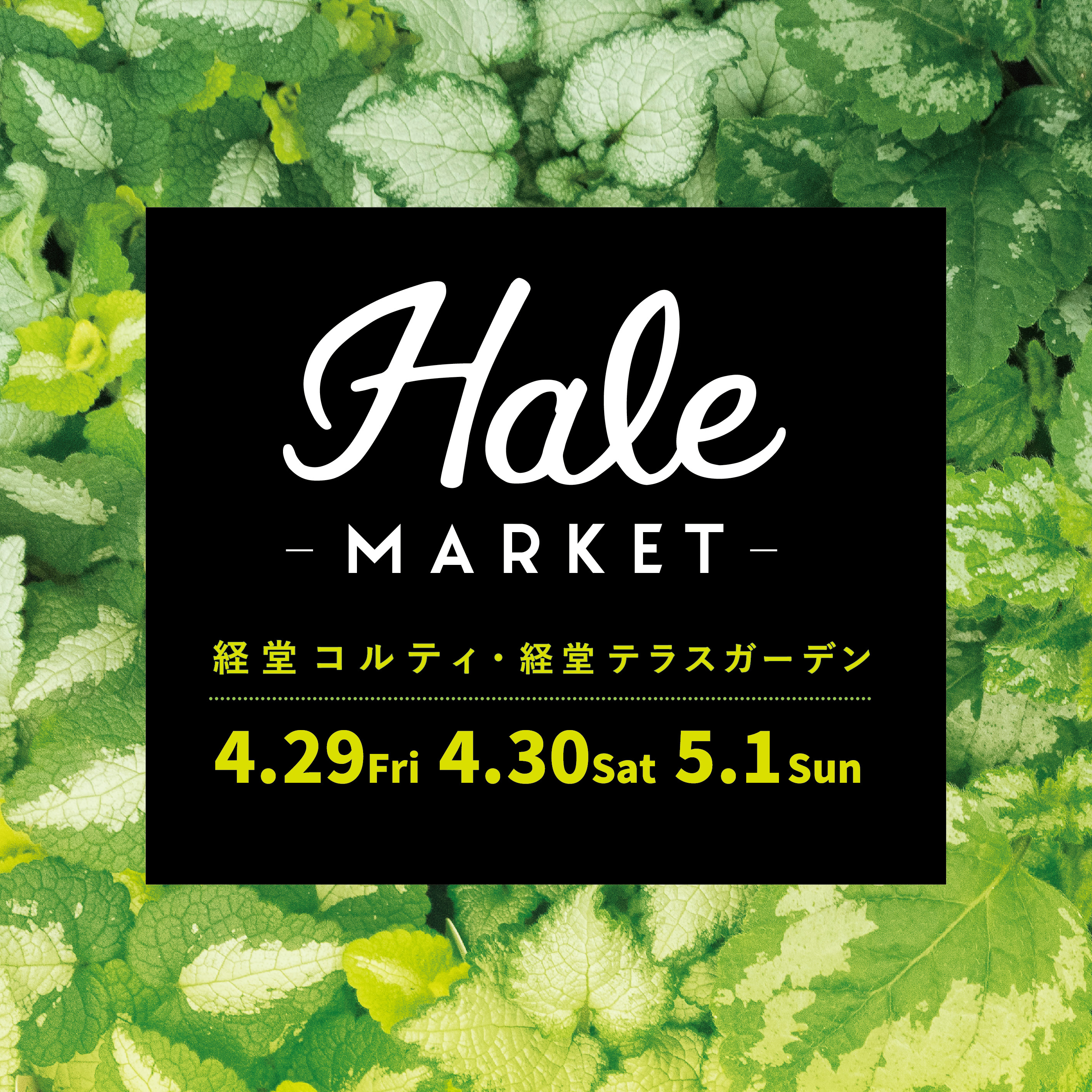 Hale Market