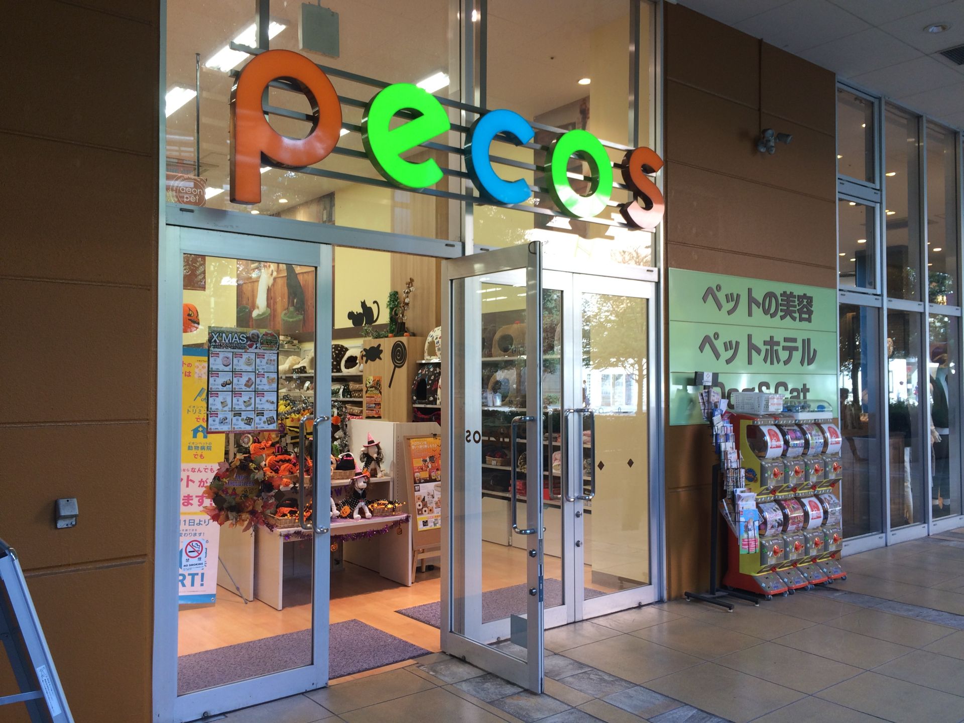 町田駅から近いペットショップまとめ 小動物の取り扱い店やブリーダーのお店も Pathee パシー