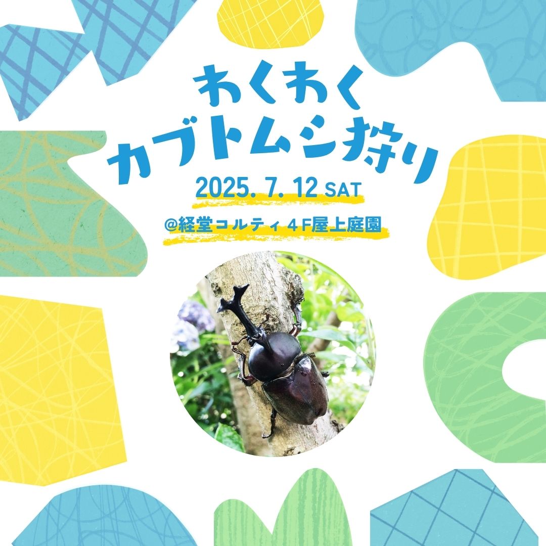 わくわくカブトムシ狩り