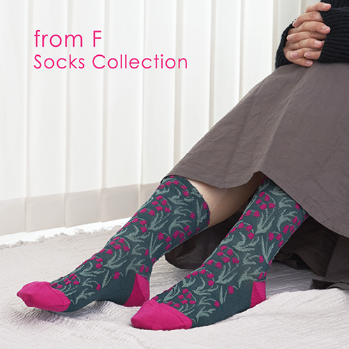 イメージ：【イベント予告】くつしたいろいろ －from F Socks Collection－