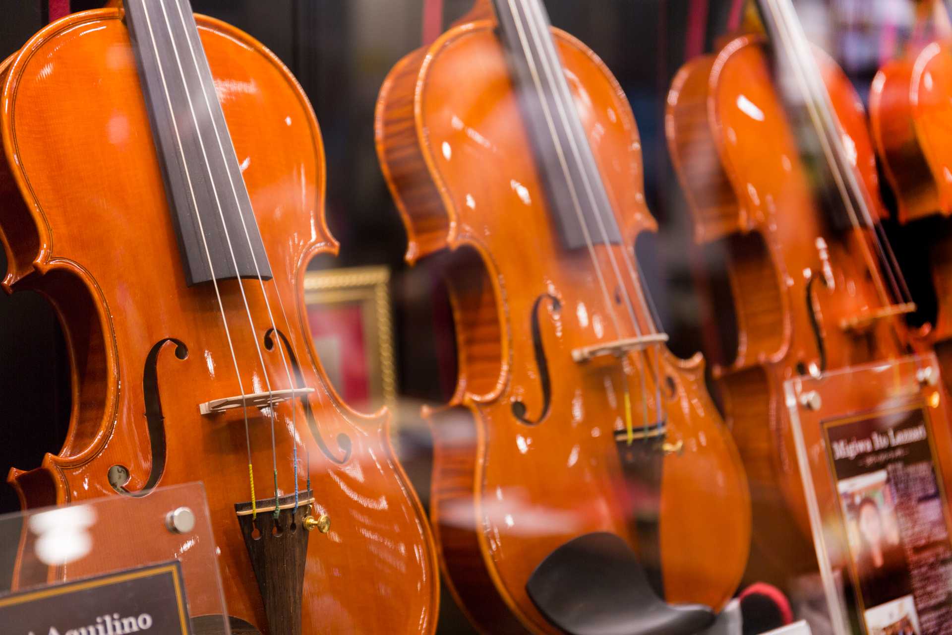 イメージ：しんゆりフェスティバル・マルシェ出店のお知らせ♪