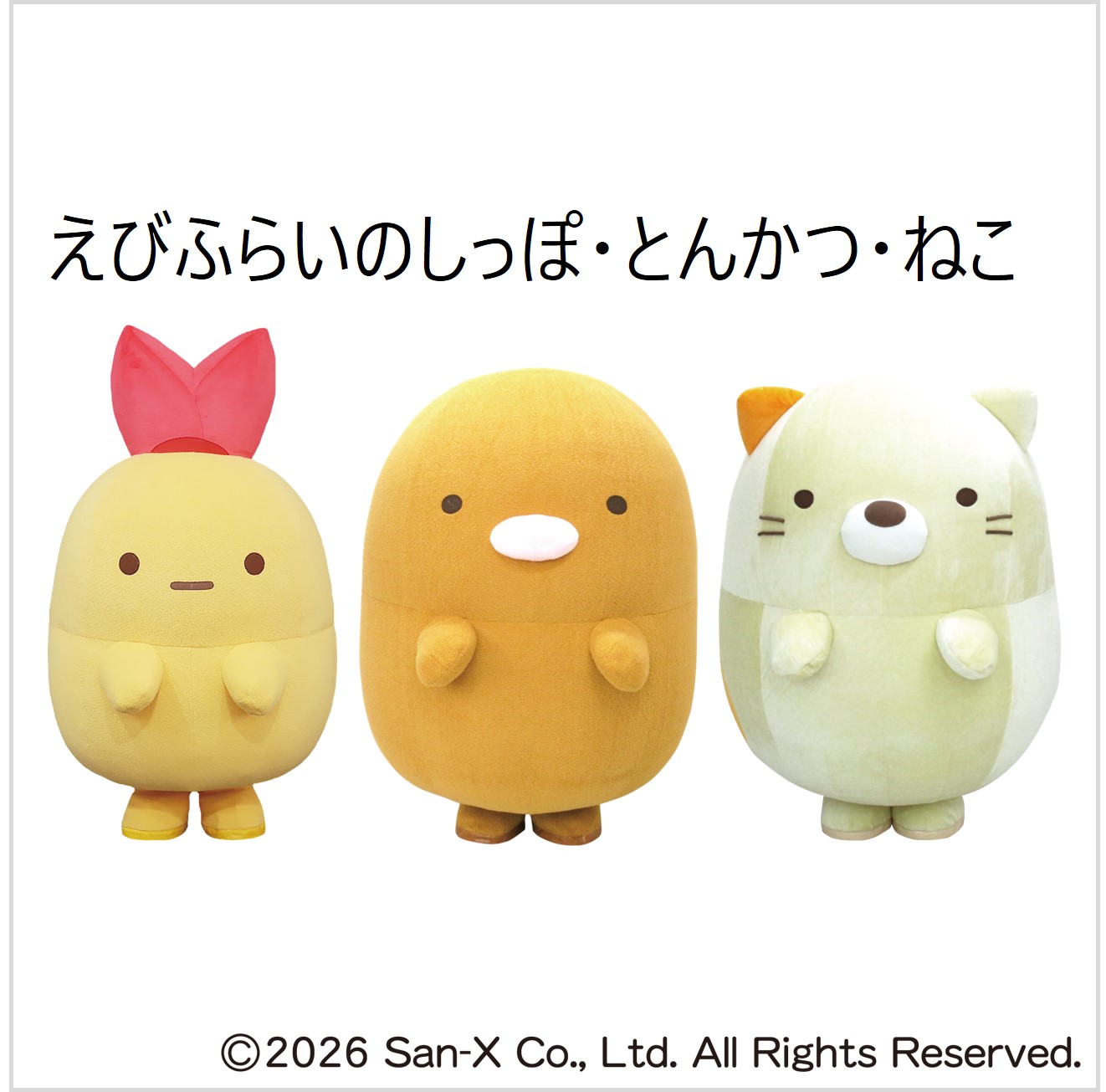 すみっコがやってくる～撮影会～