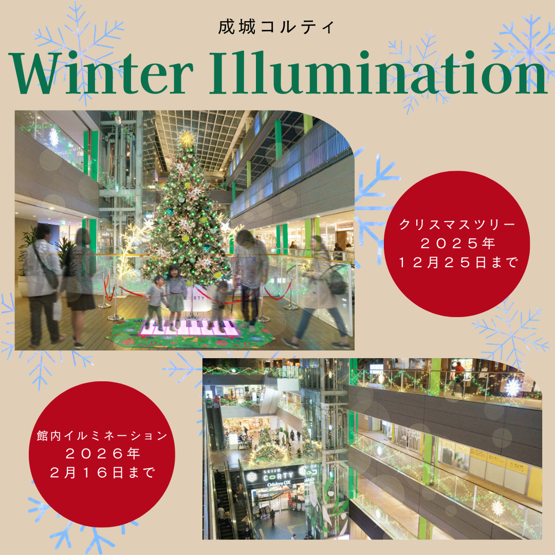 成城コルティwinter illumination