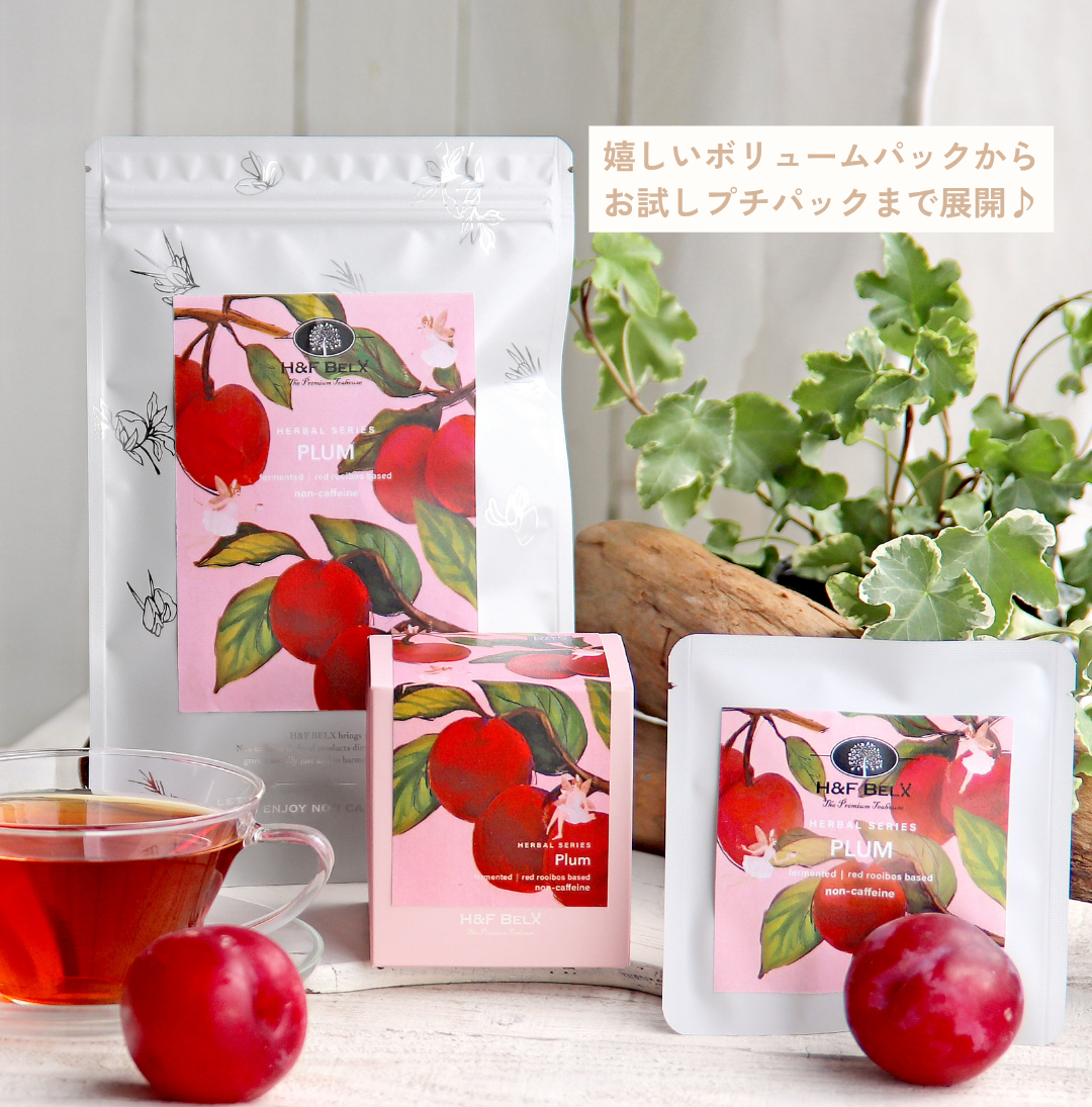 イメージ：【2階 H&F BELX】新発売！プラムルイボスティー