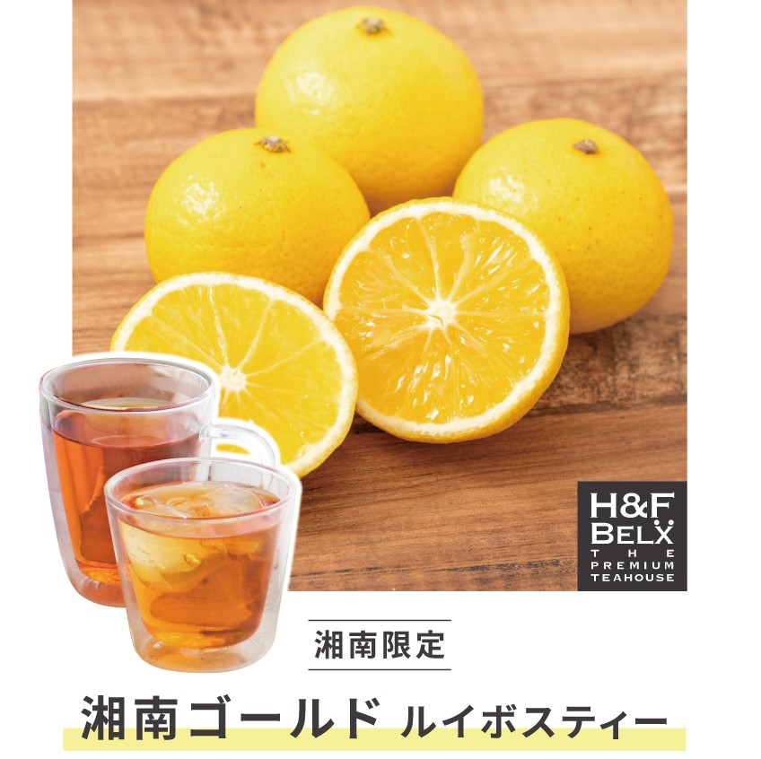 イメージ：【2階 H&F BELX】新発売！湘南ゴールドルイボスティー