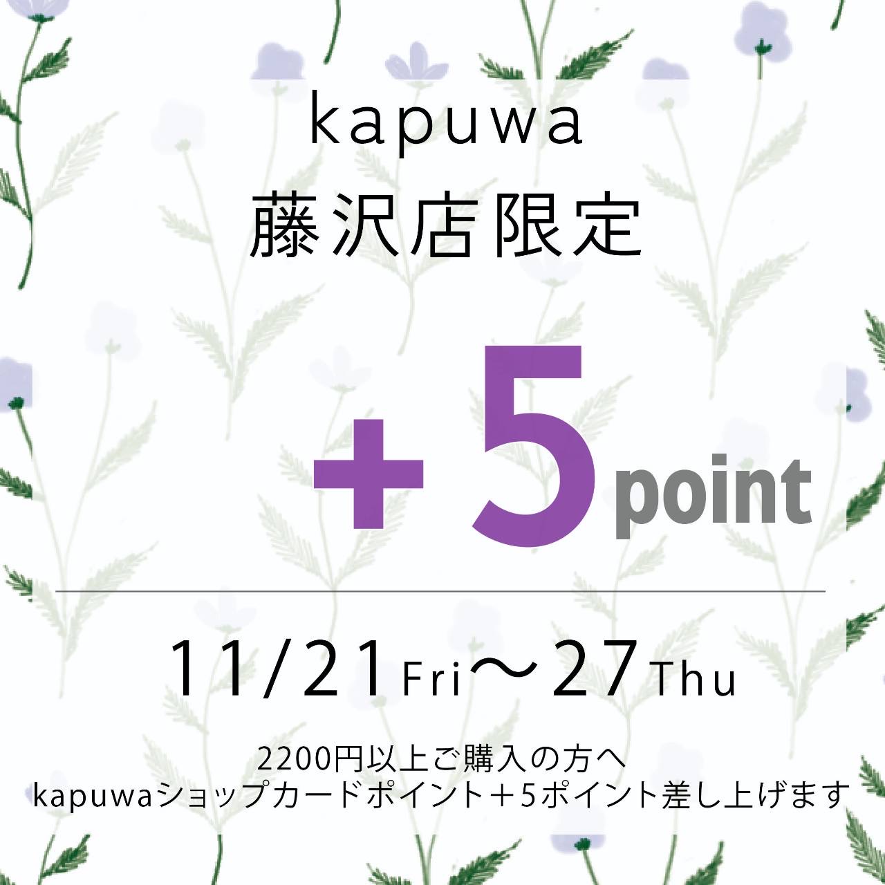イメージ：【2階　Kapuwa】小田急ポイント5倍！ショップポイント+5ポイント！イベント開催✨