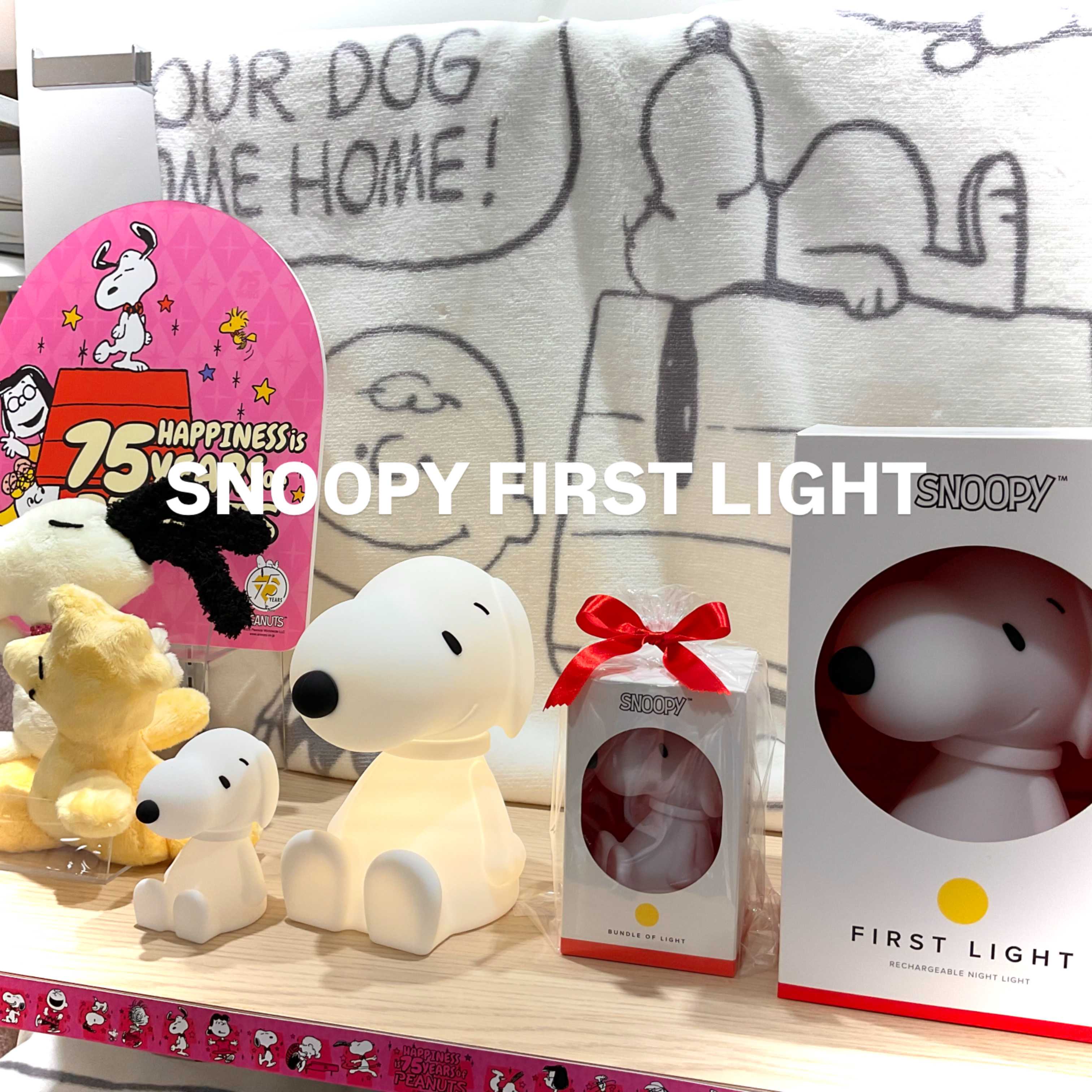【nishikawaショップ】新入荷！スヌーピーライト