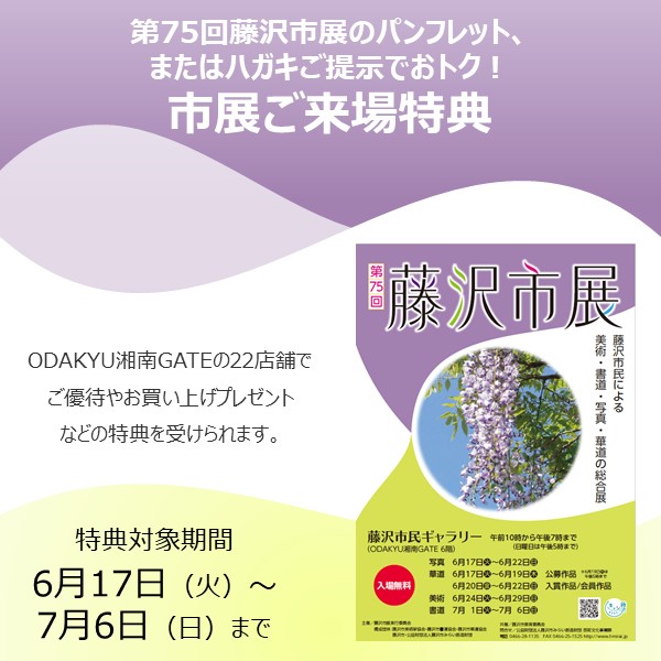 第75回藤沢市展のパンフットまたははがき持参でお得！藤沢市展ご来場特典