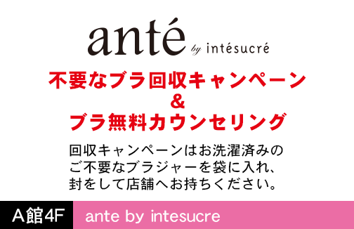 ante by intesucre