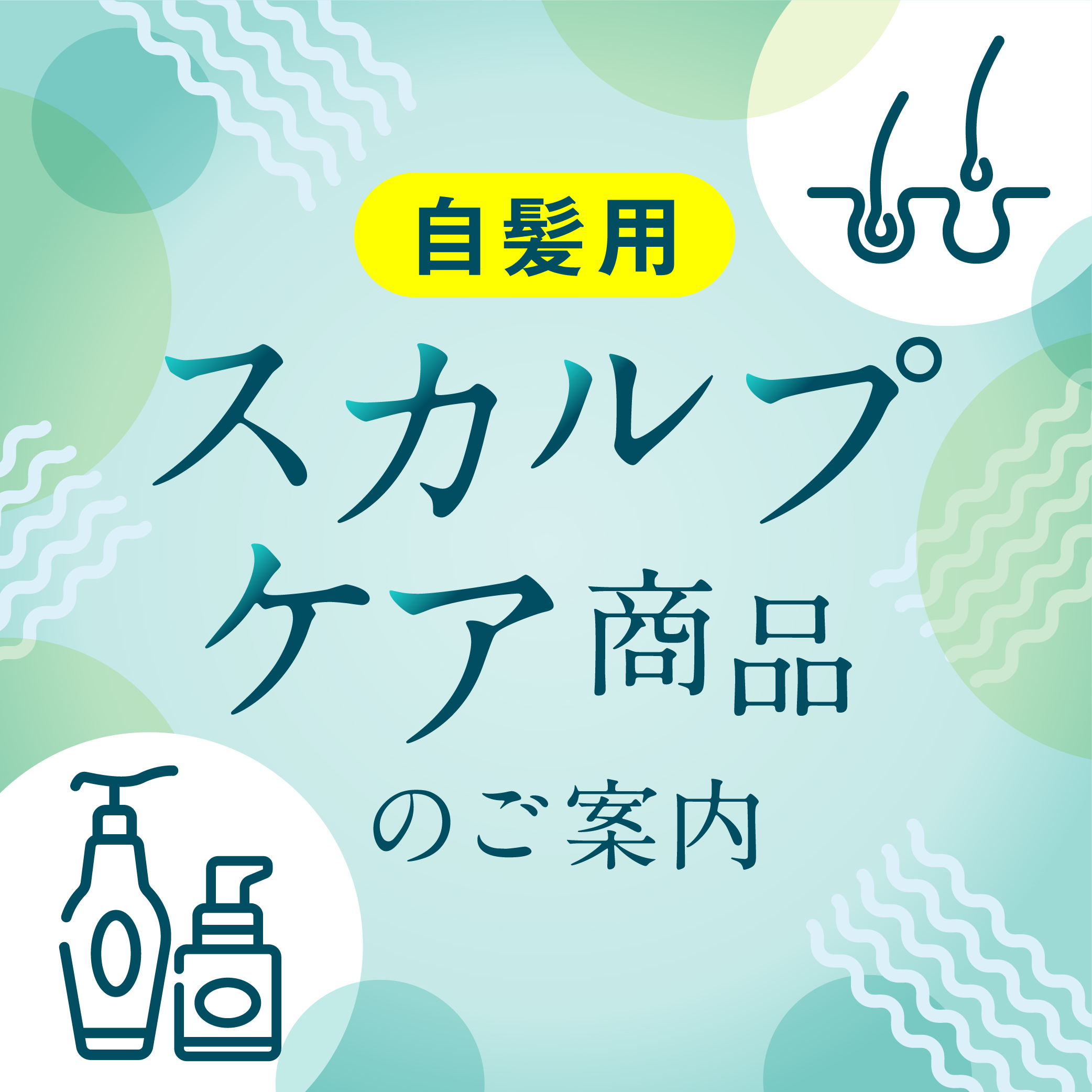 イメージ：夏のダメージをいたわる季節！サロン品質のヘア＆スカルプケアシリーズ