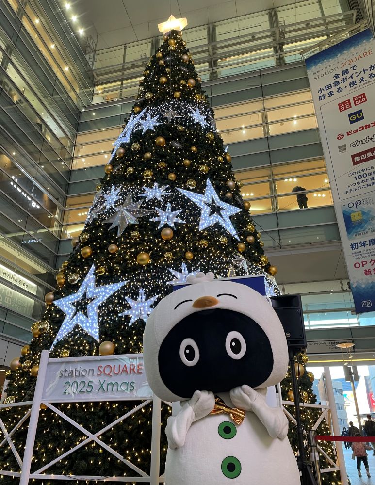 イメージ：Hooちゃん撮影会にご参加ありがとうございました！