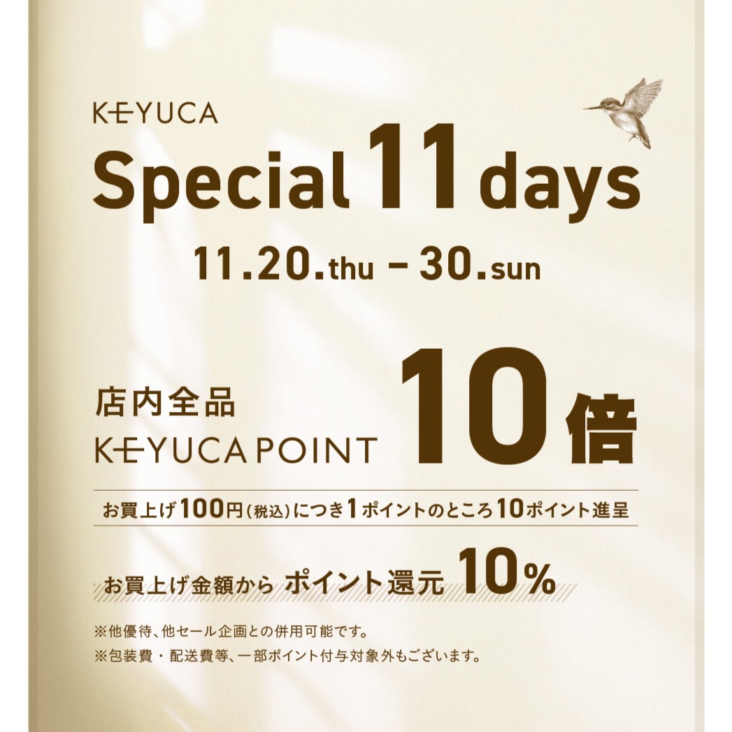 イメージ：⭐11/20～11/30 Special11days ⭐