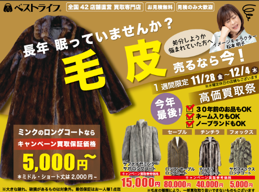 イメージ：毛皮/古銭キャンペーン