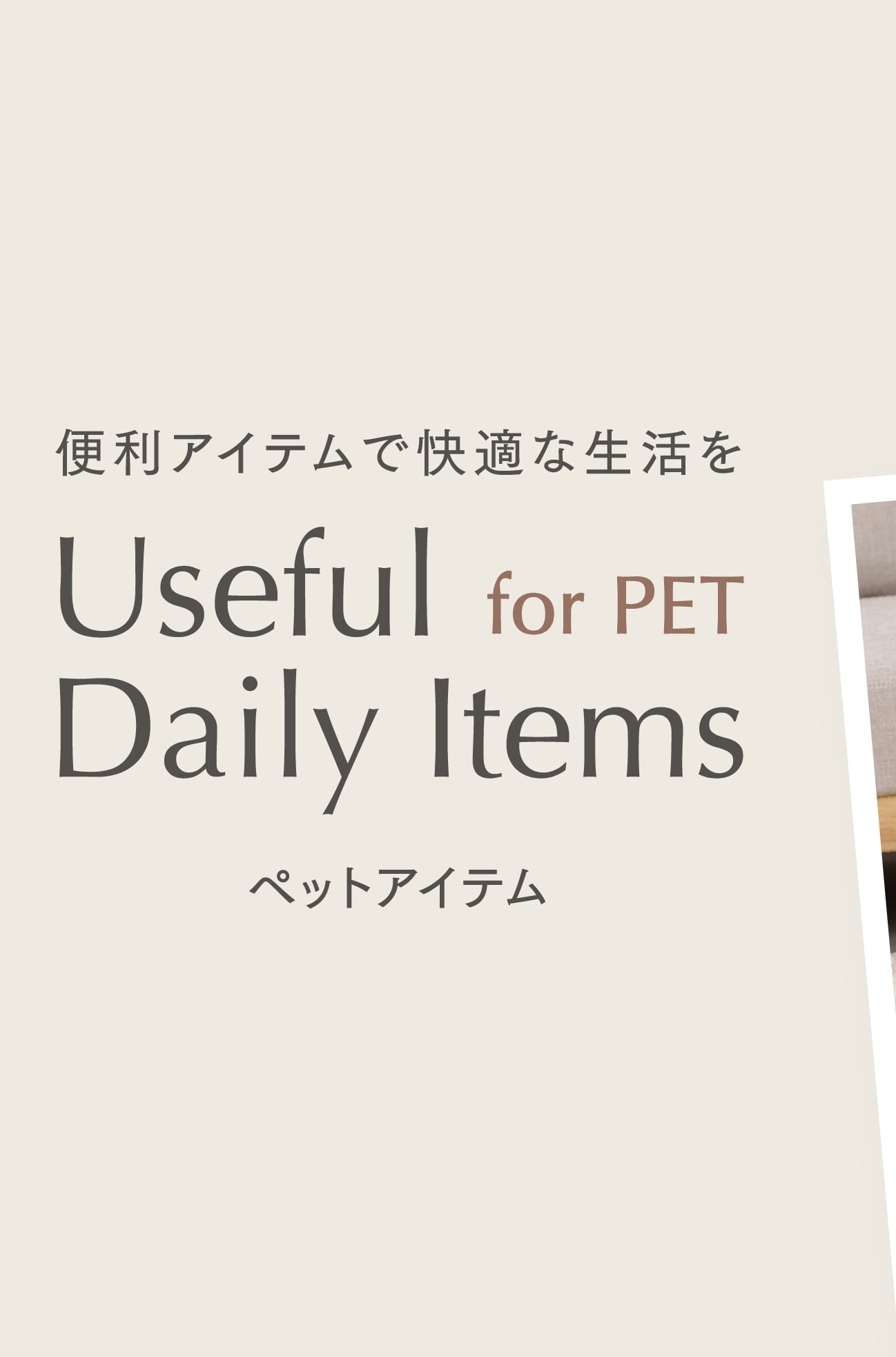 イメージ：ペットアイテム特集
