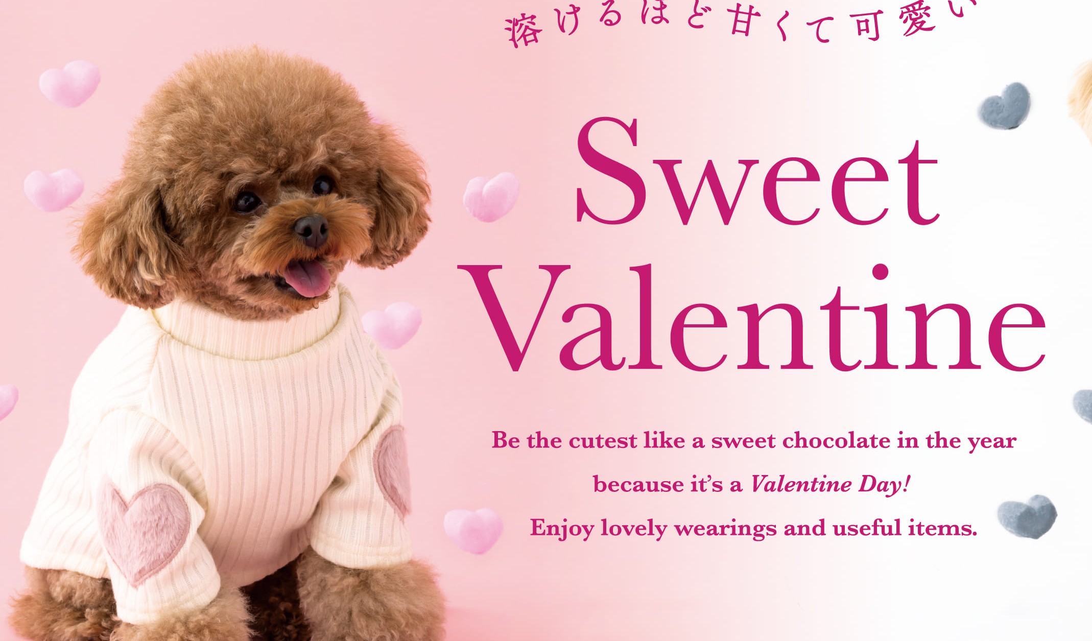 イメージ：【PET】Sweet Valentine