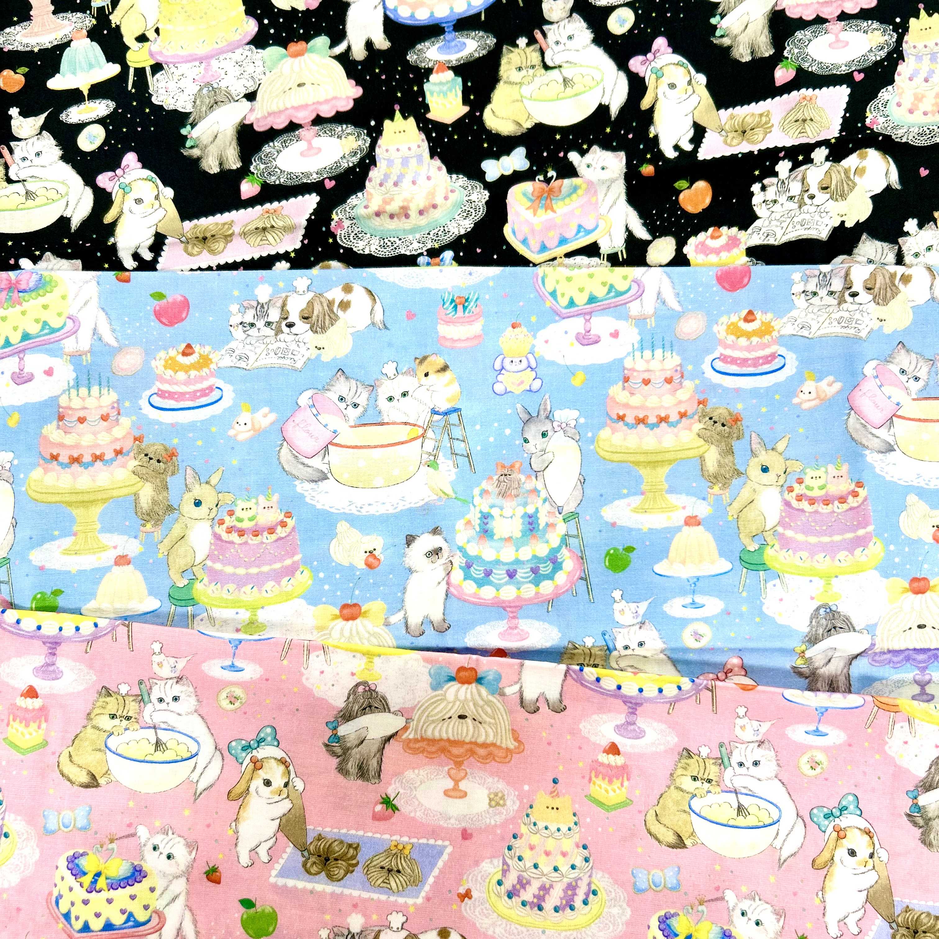 イメージ：『22fabric』10th collection が入荷いたしました！