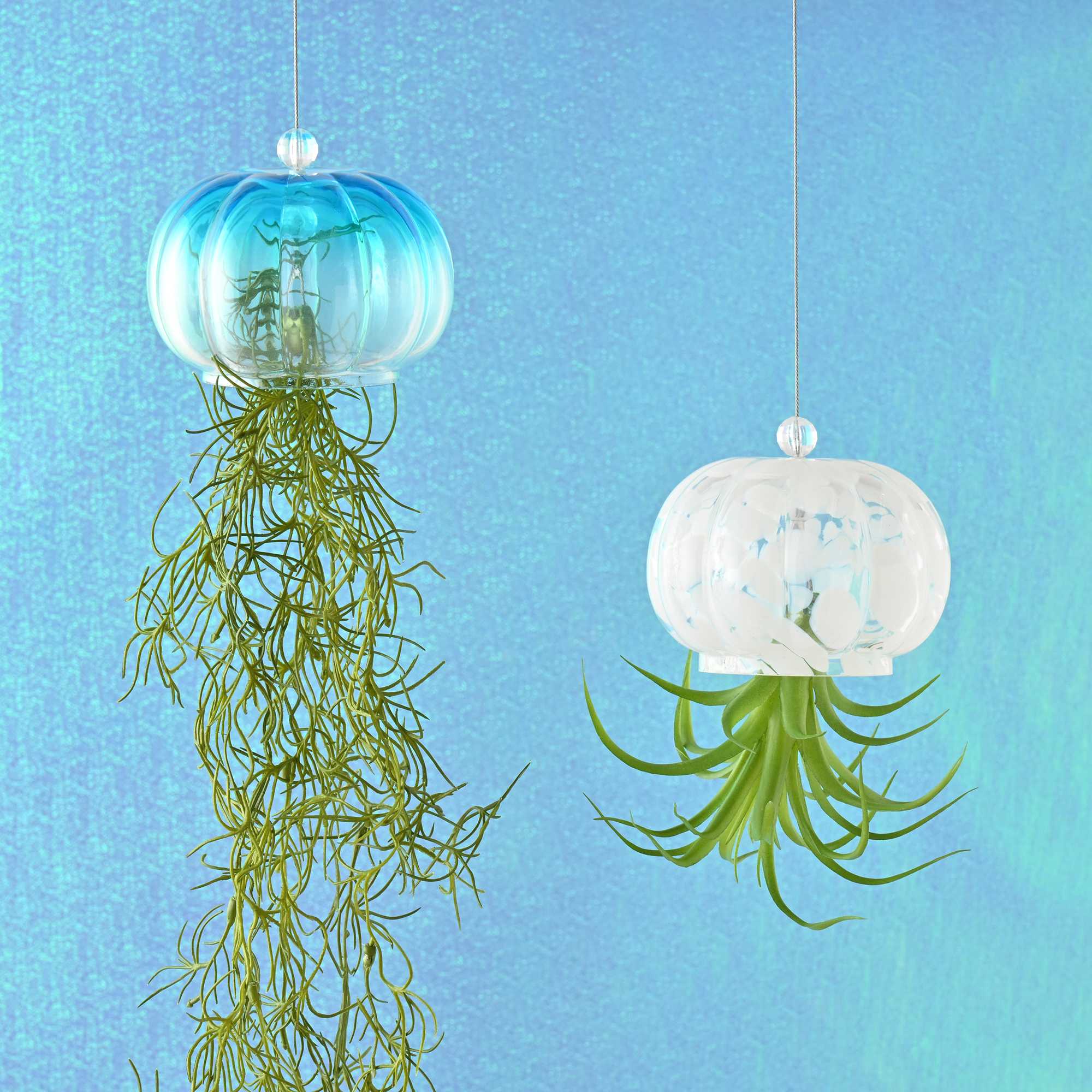 イメージ：クラゲモチーフで涼しげなアートグリーンをご紹介