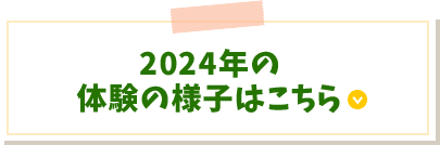 2024年の体験の様子はこちら