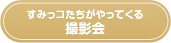 すみっコたちがやってくる 撮影会