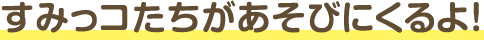 すみっコたちがあそびにくるよ！