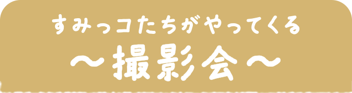 すみっコたちがやってくる～撮影会～