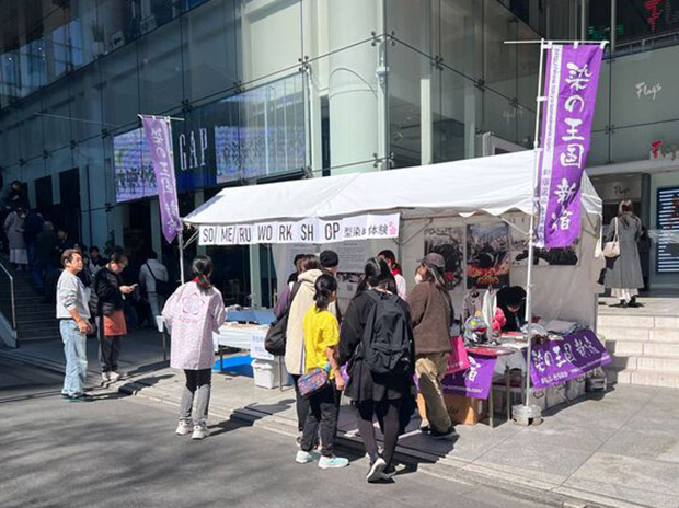 東京クリエイティブサロン参画