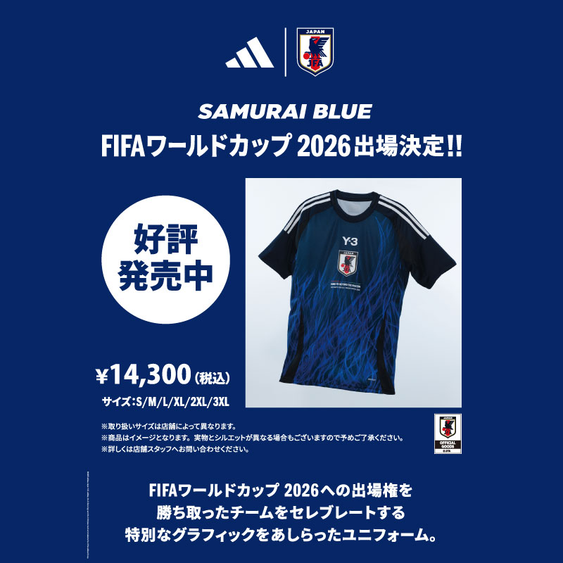 サッカー日本代表の2018 FIFAワールドカップ ロシア™ ベスト16の