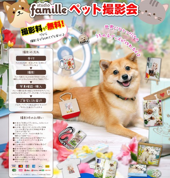 イメージ：スタジオファミーユによる☆ プロカメラマンによるペットの撮影会！！