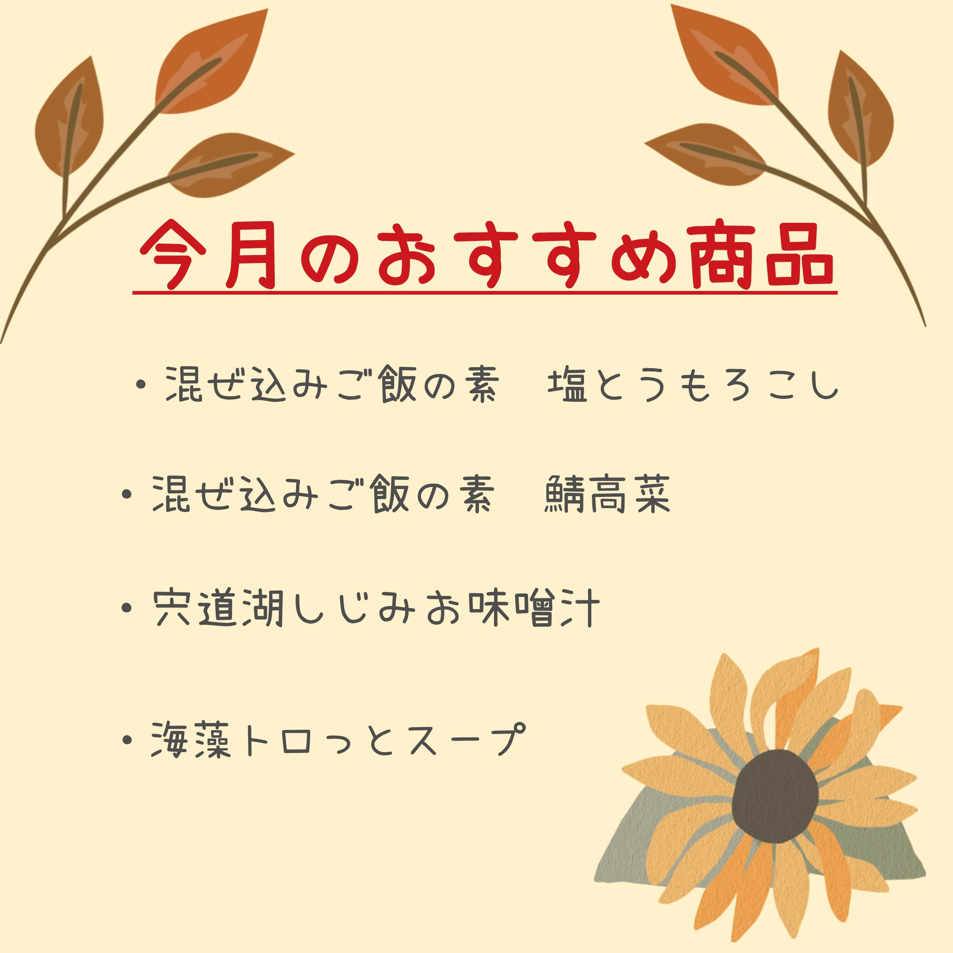 イメージ：＼今月のおすすめ商品／