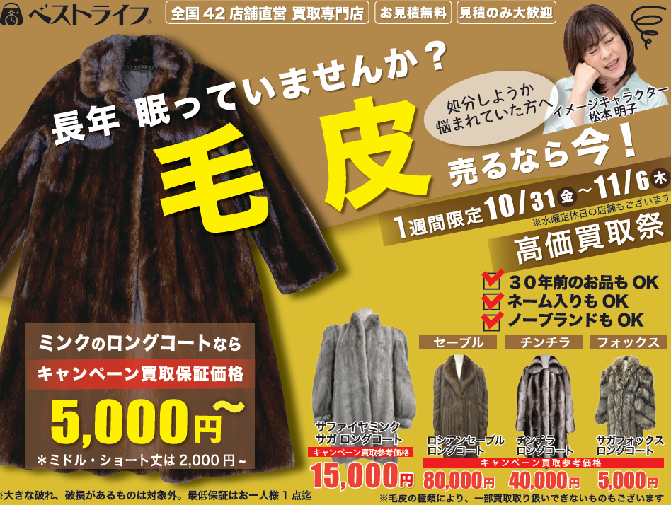 衣替え応援キャンペーン✨