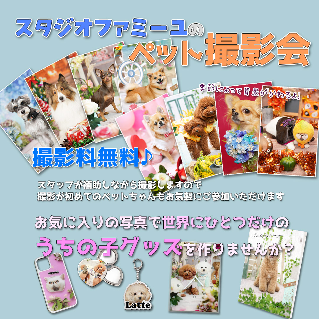 イメージ：☆スタジオファミーユによる プロカメラマンのペット撮影会☆