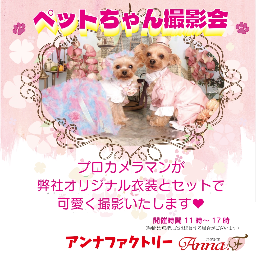 イメージ：☆アンナファクトリーのプロカメラマンによるペット撮影会☆
