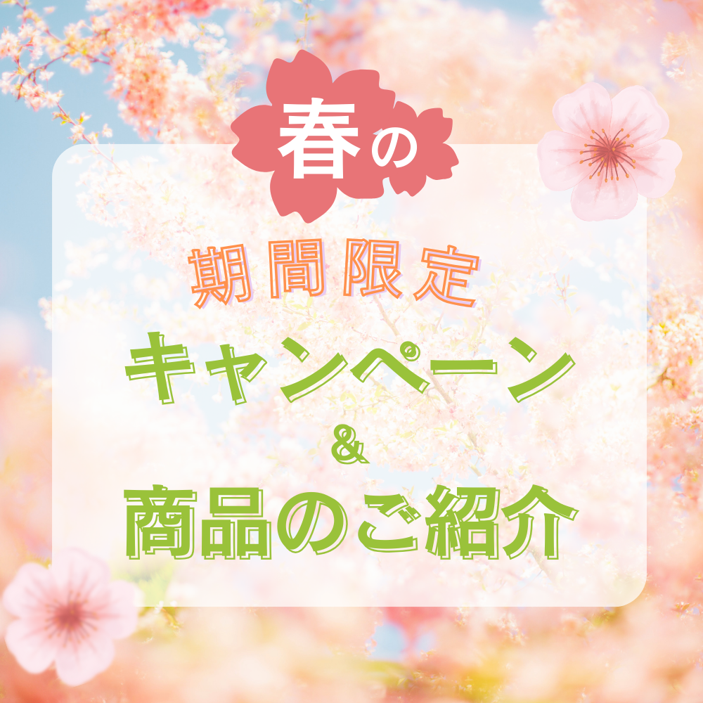 春の期間限定キャンペーン&紹介