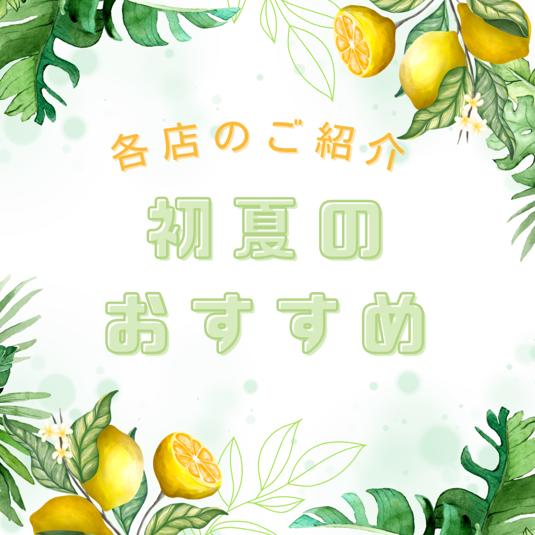 初夏のおすすめ