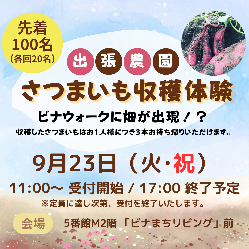 さつまいも収穫体験