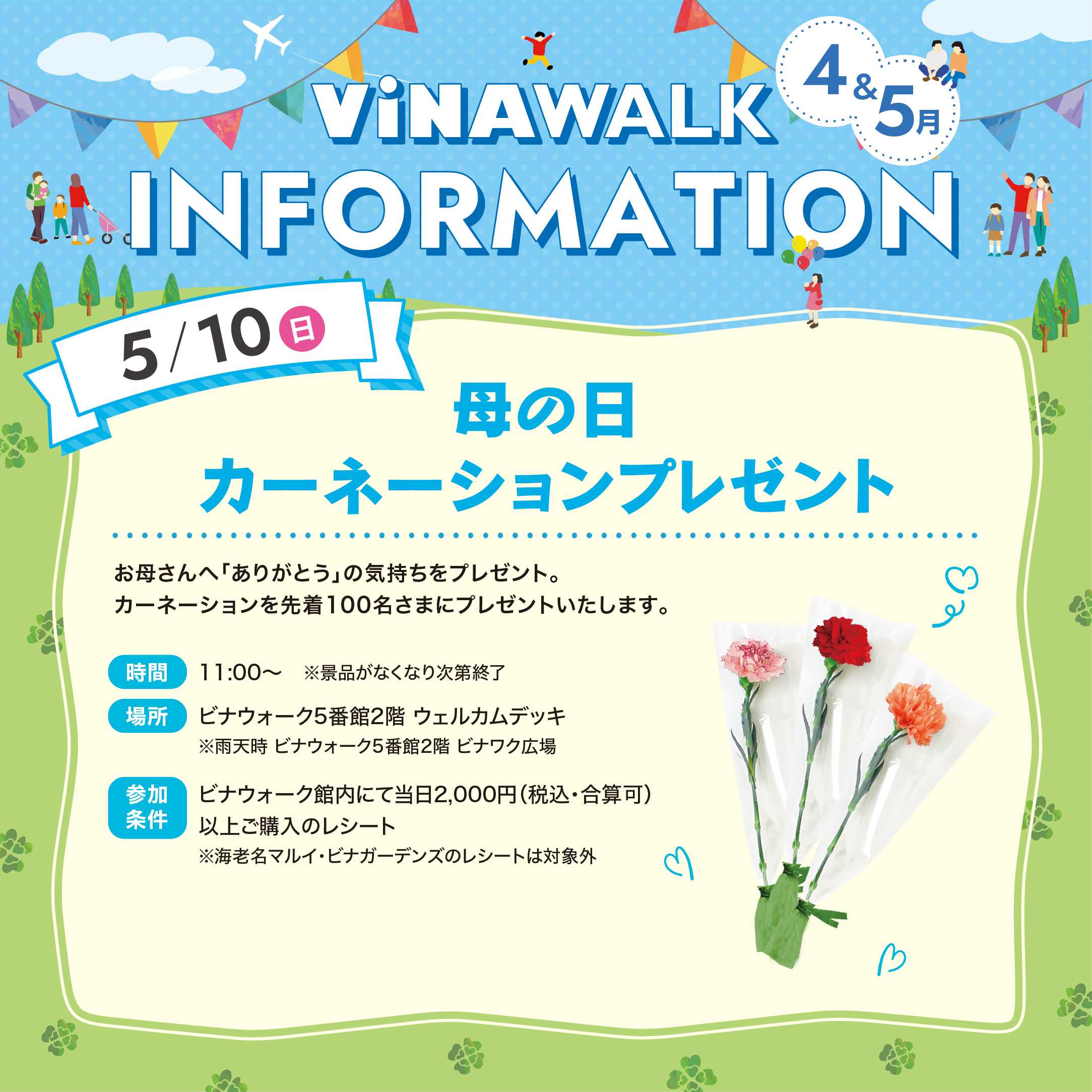 母の日 カーネーションプレゼント